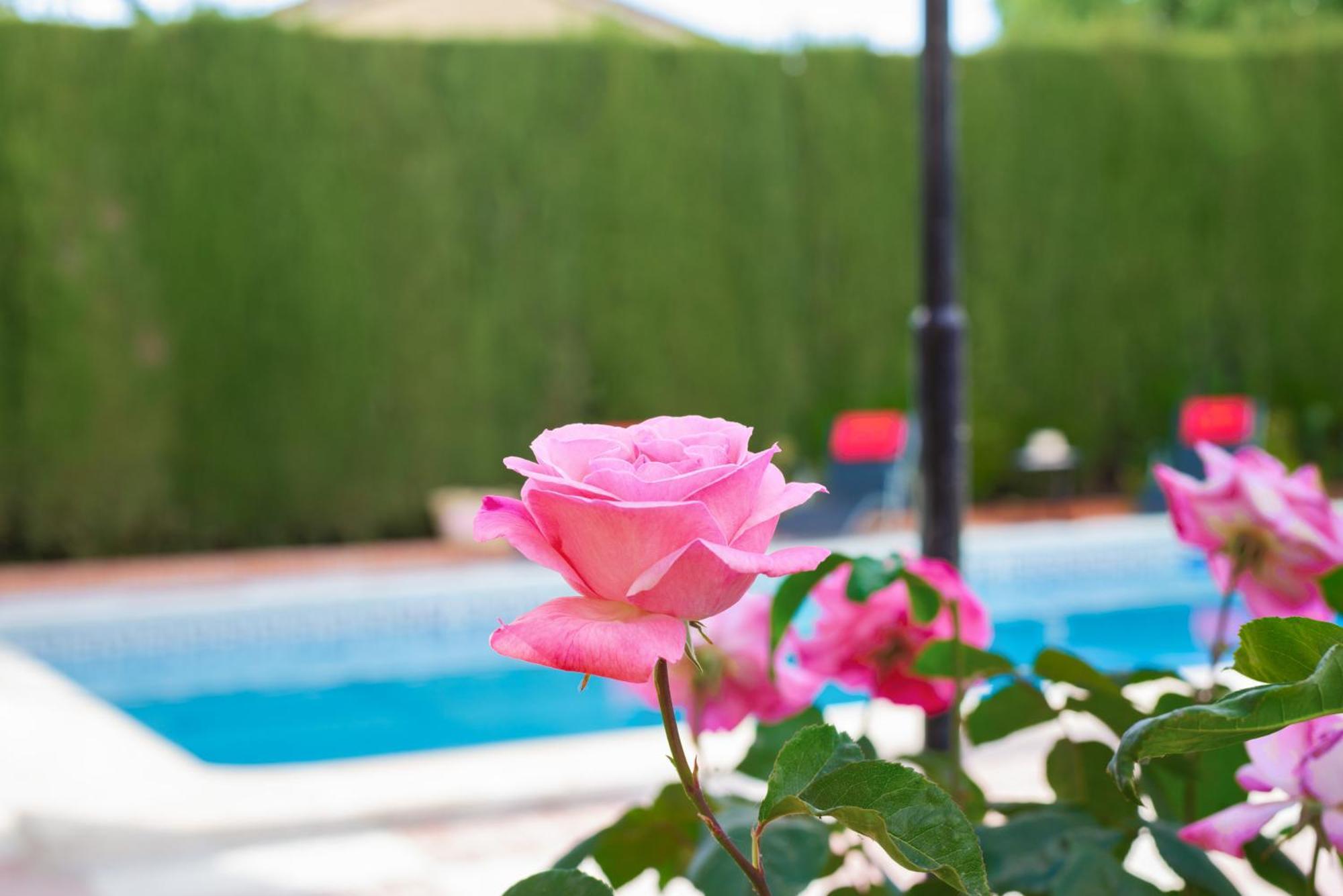 Villa Granada Garden Deluxe Моначил Екстериор снимка
